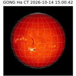 gong - 2026-10-14T15:00:42