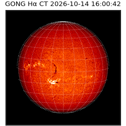 gong - 2026-10-14T16:00:42