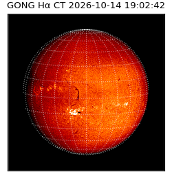 gong - 2026-10-14T19:02:42