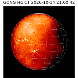 gong - 2026-10-14T21:00:42