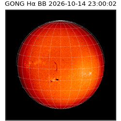 gong - 2026-10-14T23:00:02