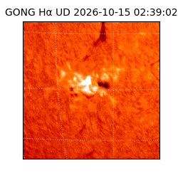 gong - 2026-10-15T02:39:02