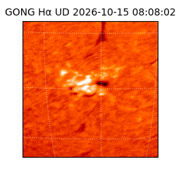 gong - 2026-10-15T08:08:02