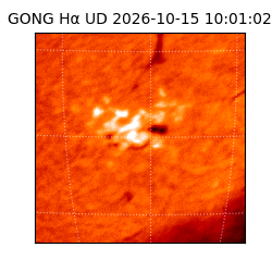 gong - 2026-10-15T10:01:02