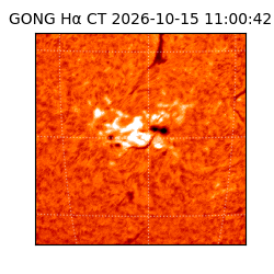 gong - 2026-10-15T11:00:42