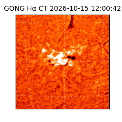 gong - 2026-10-15T12:00:42