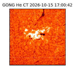 gong - 2026-10-15T17:00:42
