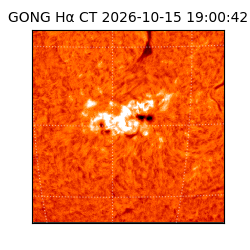 gong - 2026-10-15T19:00:42