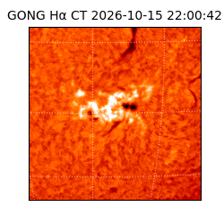 gong - 2026-10-15T22:00:42