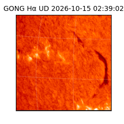 gong - 2026-10-15T02:39:02