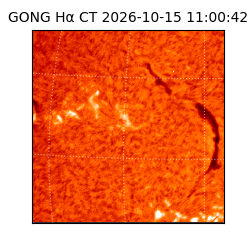 gong - 2026-10-15T11:00:42