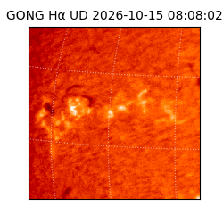 gong - 2026-10-15T08:08:02