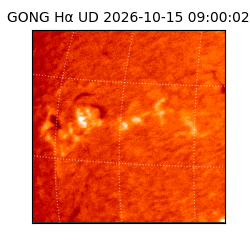 gong - 2026-10-15T09:00:02