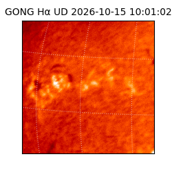 gong - 2026-10-15T10:01:02