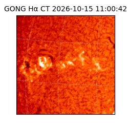 gong - 2026-10-15T11:00:42