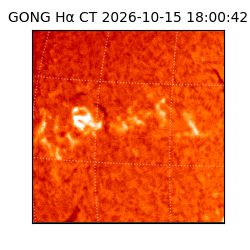 gong - 2026-10-15T18:00:42