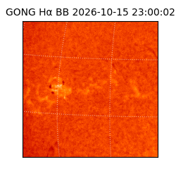 gong - 2026-10-15T23:00:02