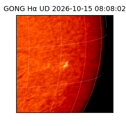 gong - 2026-10-15T08:08:02