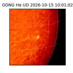 gong - 2026-10-15T10:01:02