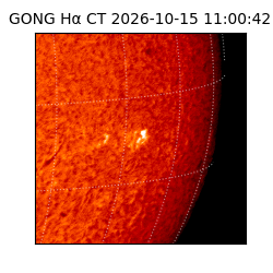gong - 2026-10-15T11:00:42