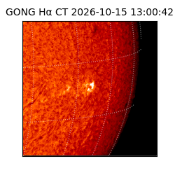 gong - 2026-10-15T13:00:42