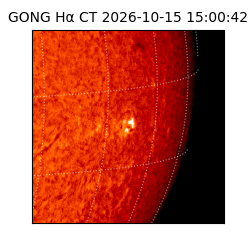 gong - 2026-10-15T15:00:42