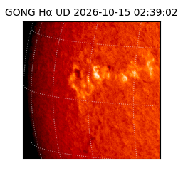 gong - 2026-10-15T02:39:02