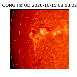 gong - 2026-10-15T08:08:02