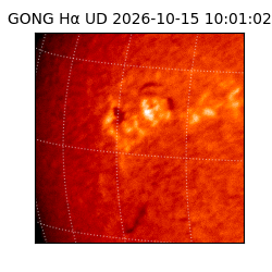 gong - 2026-10-15T10:01:02