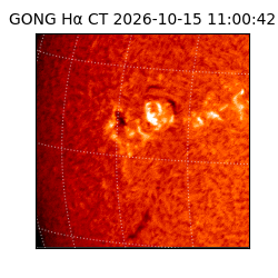 gong - 2026-10-15T11:00:42