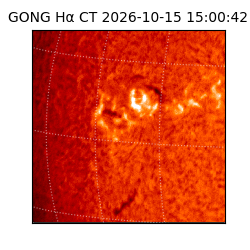 gong - 2026-10-15T15:00:42