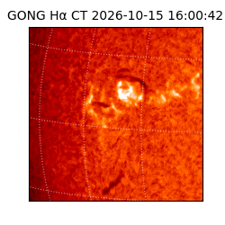 gong - 2026-10-15T16:00:42
