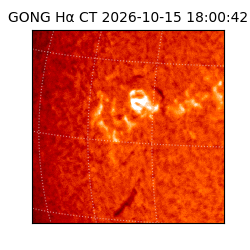 gong - 2026-10-15T18:00:42