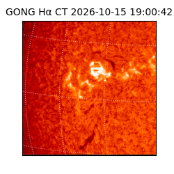 gong - 2026-10-15T19:00:42