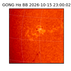 gong - 2026-10-15T23:00:02