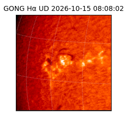 gong - 2026-10-15T08:08:02