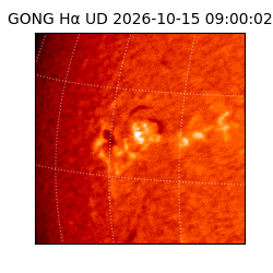 gong - 2026-10-15T09:00:02