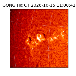 gong - 2026-10-15T11:00:42