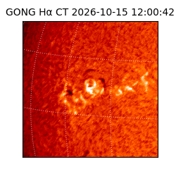 gong - 2026-10-15T12:00:42