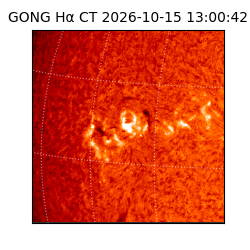 gong - 2026-10-15T13:00:42