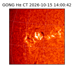 gong - 2026-10-15T14:00:42