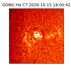 gong - 2026-10-15T18:00:42