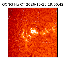 gong - 2026-10-15T19:00:42