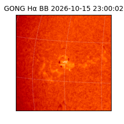gong - 2026-10-15T23:00:02