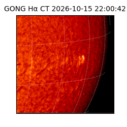 gong - 2026-10-15T22:00:42