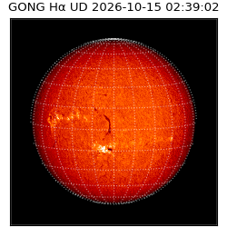 gong - 2026-10-15T02:39:02