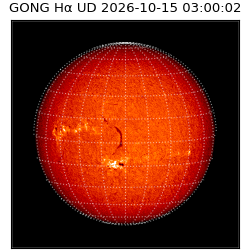 gong - 2026-10-15T03:00:02