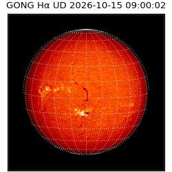 gong - 2026-10-15T09:00:02