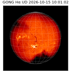 gong - 2026-10-15T10:01:02