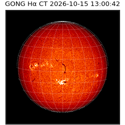 gong - 2026-10-15T13:00:42